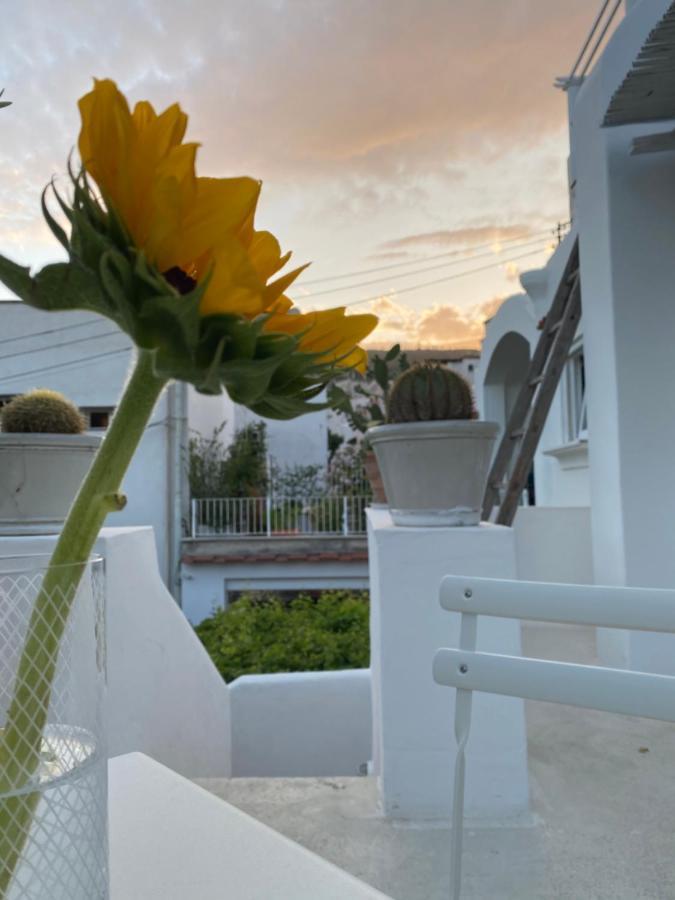 Suites Edivino Design Capri Esterno foto