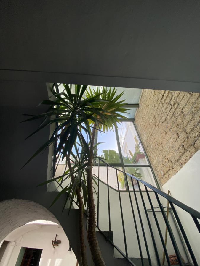 Suites Edivino Design Capri Esterno foto